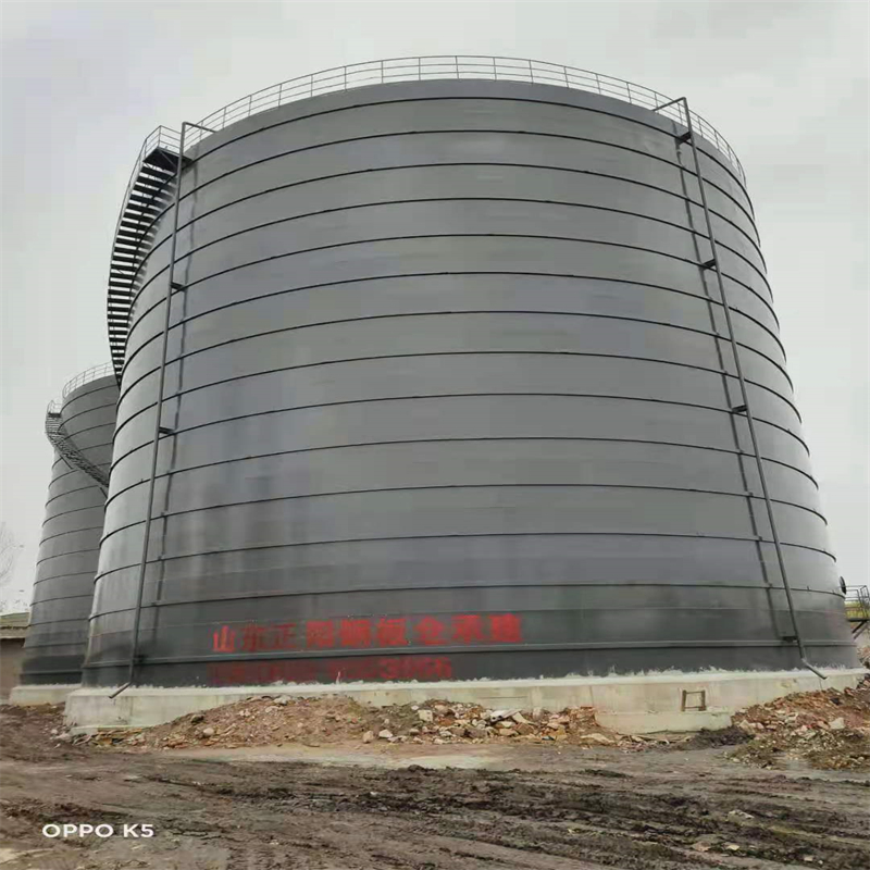 丁青3万吨大型钢板库