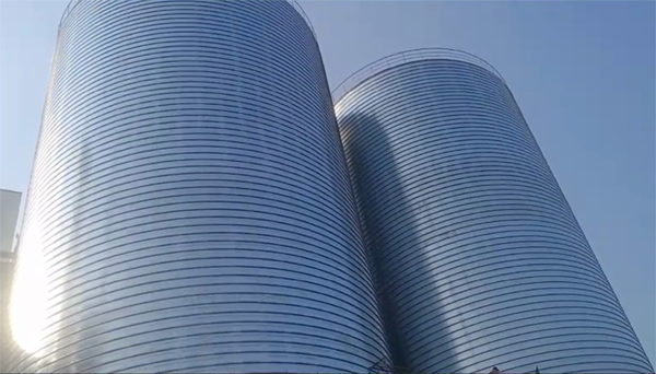 丁青2座混凝土高架卷板仓